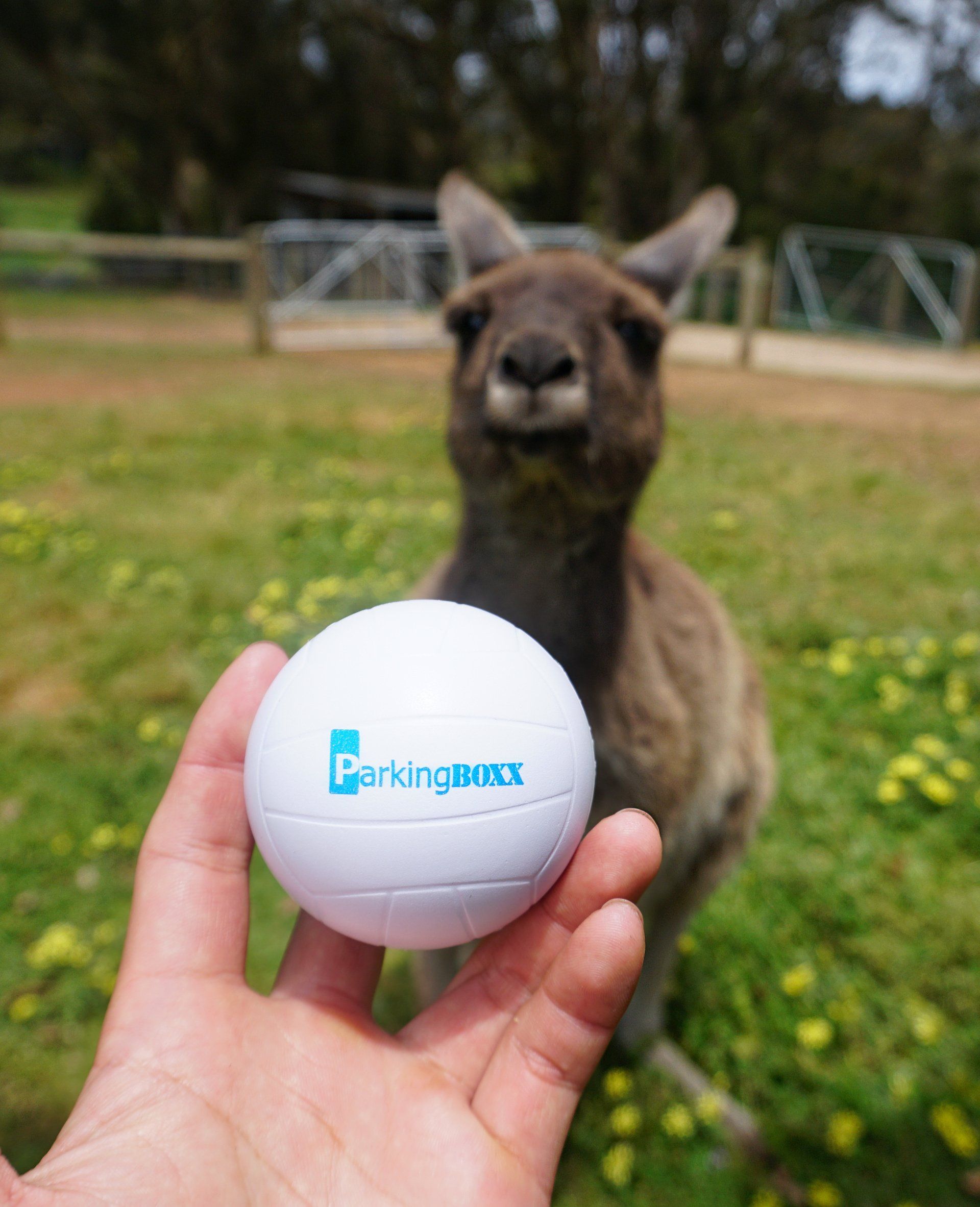 Australia — Parking BOXX Ball contest