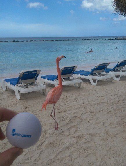 Aruba — Parking BOXX Ball contest