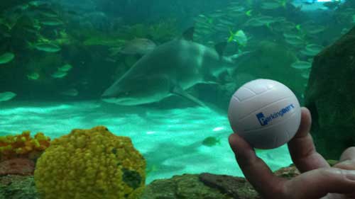 Ripley's Aquarium of Canada — Parking BOXX Ball contest