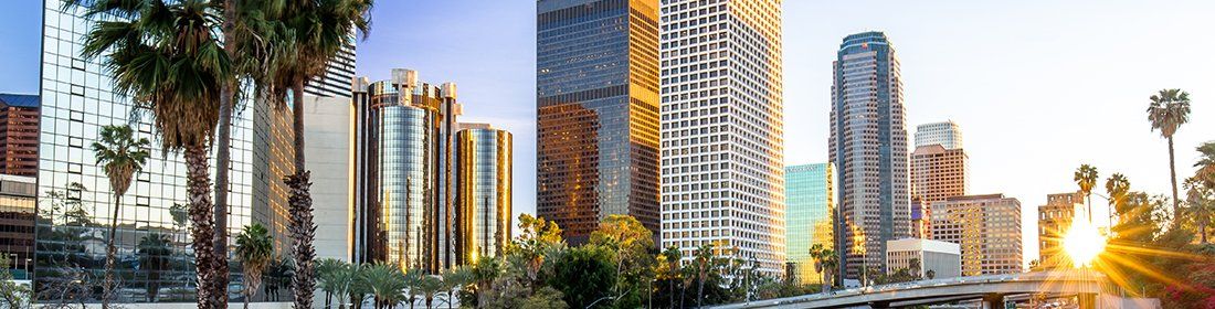Los Angeles Parking Systems